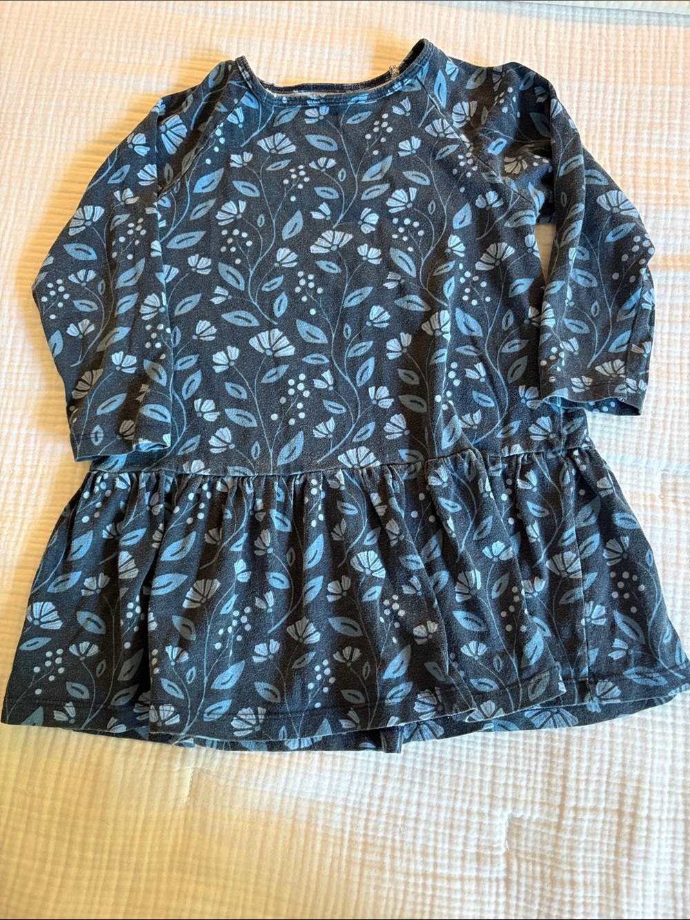 Winter Water Factory dress 4T